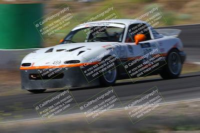 media/May-04-2024-Lucky Dog Racing (Sat) [[d39539b3f3]]/Practice I Qualifying (Turn 4a)/